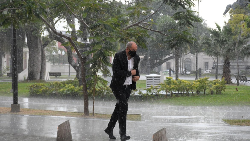 Capital afectada por la tormenta; más de 50 milimetros en menos de 3 horas, arboles y póstes caídos